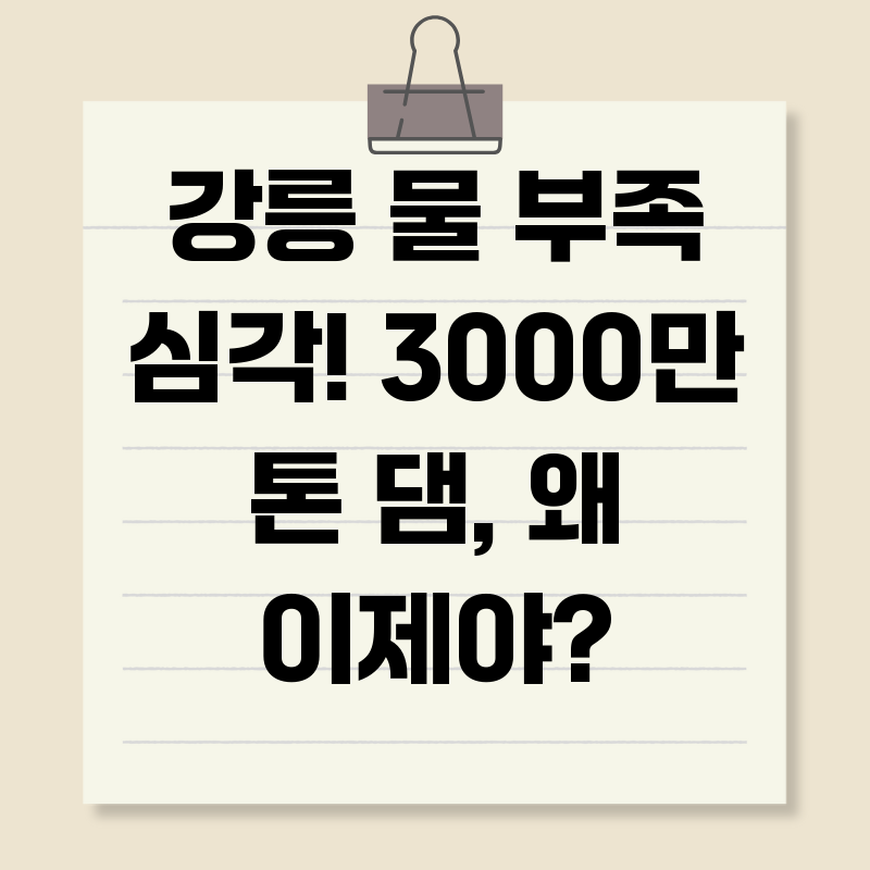 강릉 물 부족 심각! 3000만 톤 댐, 왜 이제야?